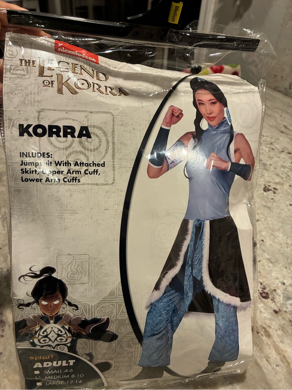 Nickelodeon The Legend of Korra Adult Korra Blue and Brown Costume